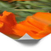 ポピズガロールプリント ポスター (角)