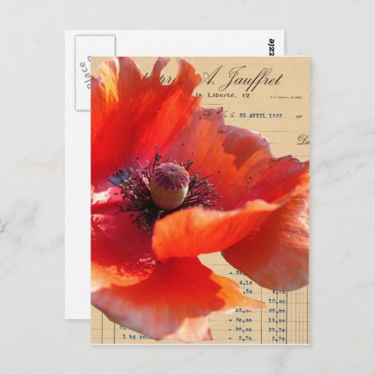 ポピーとエフエマラのデジタルアート ポストカード (正面/裏面)