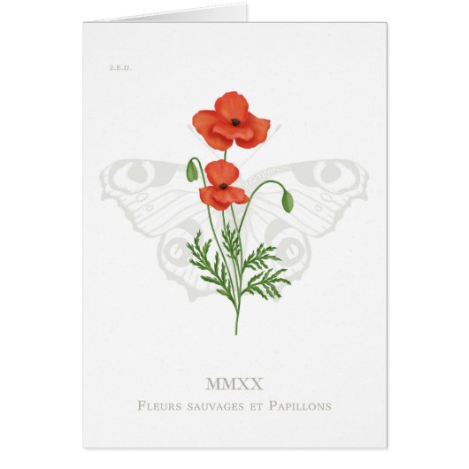 ポピーとクジャクのバタフライカード (正面)