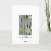 ポピーとシェード11花の写真グリーティングC カード (裏面)