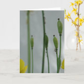ポピーとシェード11花の写真グリーティングC カード (黄色い花)