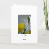 ポピーとシェード4花の写真グリーティングC カード (裏面)