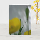 ポピーとシェード4花の写真グリーティングC カード (黄色い花)