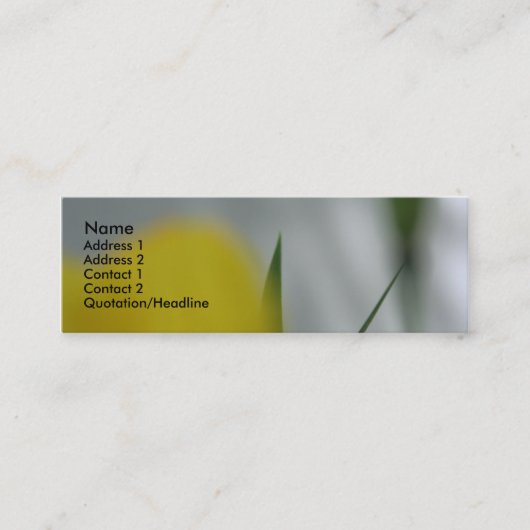 ポピーとシェード4 スキニー名刺 (正面)