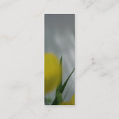 ポピーとシェード4 スキニー名刺 (裏面)