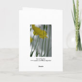 ポピーとシェード8花の写真グリーティングC カード (裏面)