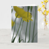 ポピーとシェード8花の写真グリーティングC カード (黄色い花)