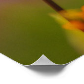 ポピーとピンク ポスター (角)