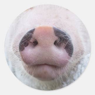 ポピーとポドリックのステッカー ラウンドシール