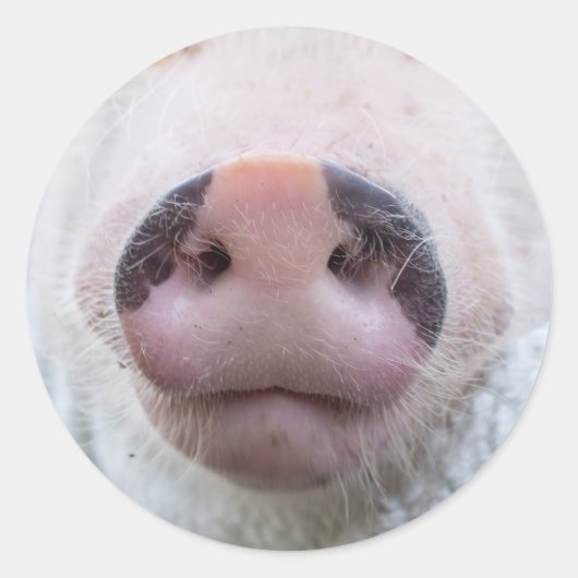 ポピーとポドリックのステッカー ラウンドシール (正面)