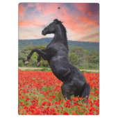 ポピーと馬のクリップボード クリップボード (裏面)