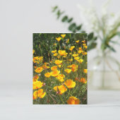 ポピーのはがき畑 ポストカード (スタンド正面)