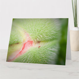 ポピーのクローズアップ カード