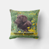 ポピーのパッチ写真に茶色のラブラドール犬 クッション (裏面)