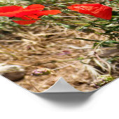 ポピーのフォイルの休日の閉鎖 ポスター (角)