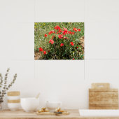 ポピーのフォイルの休日の閉鎖 ポスター (キッチン)