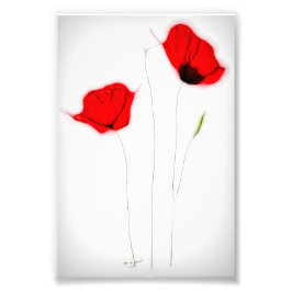 ポピーのポスター フォトプリント           