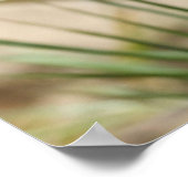 ポピーのポスター ポスター (角)