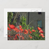 ポピーのポストカード ポストカード (正面/裏面)