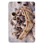 ポピーの実を干したバスケット マグネット (縦)