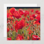 ポピーの挨拶カード サンキューカード (正面/裏面)