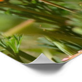 ポピーの春 ポスター (角)