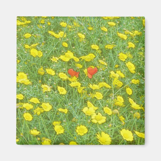 ポピーの水色 マグネット (正面)