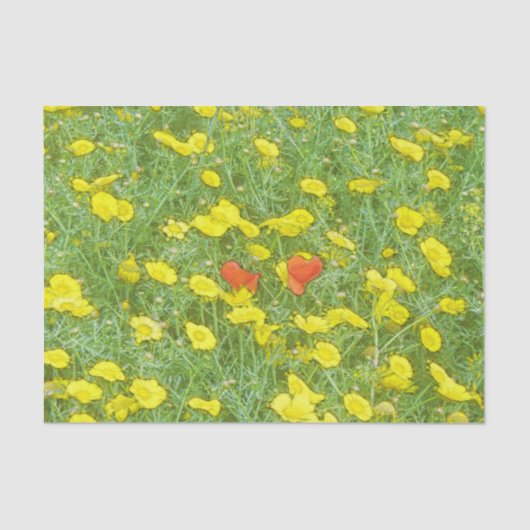 ポピーの水色 薄葉紙 (正面)