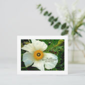 ポピーの白いはがき ポストカード (スタンド正面)