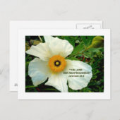 ポピーの白いはがき ポストカード (正面/裏面)