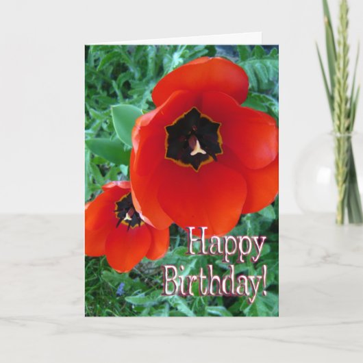 ポピーの花 - お誕生日おめでとう! カード (正面)