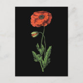 ポピーの赤いヴィンテージアート ポストカード (正面)
