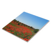 ポピーの開花 タイル (側面)