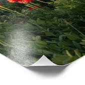 ポピーは谷に – カスペールマウンテン フォトプリント            (角)