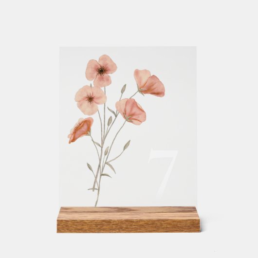 ポピーエレガントピー牧草地オレンジ色の花 アクリルサイン (正面)