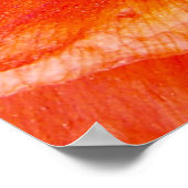 ポピーエレガントフラワー引用文感謝ハート ポスター (角)