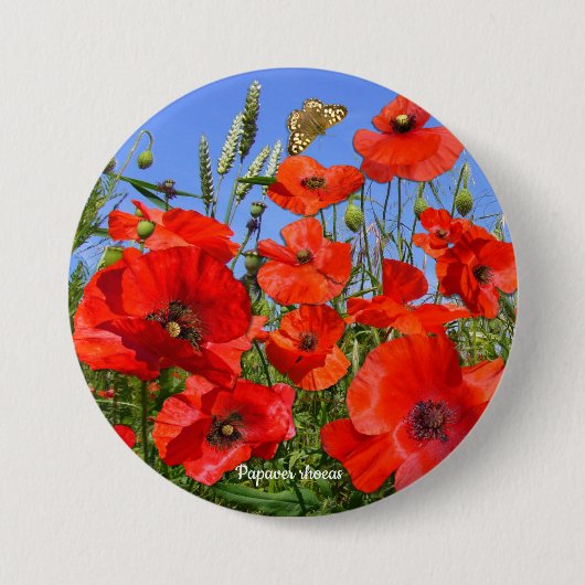 ポピーカラフルフィールド 缶バッジ (正面)