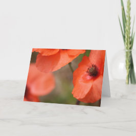 ポピーカード カード