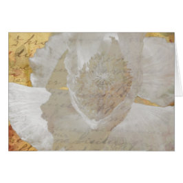 ポピーセピアすべての行事空白の内あいさつ文