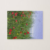 ポピーパズル ジグソーパズル (横)
