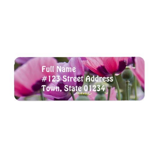 ポピーフィールドの宛名ラベル ラベル (正面)