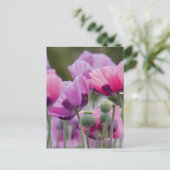 ポピーフィールドはがき ポストカード (スタンド正面)