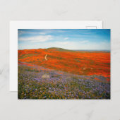 ポピーフィールドはがき ポストカード (正面/裏面)