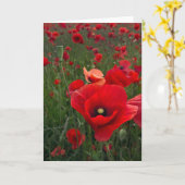 ポピーフィールドカード カード (黄色い花)