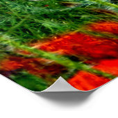 ポピーフィールドポスタープリント ポスター (角)