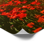 ポピーフィールド3 ポスター (角)