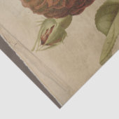 ポピーフラワーオンデコパー動揺してジュ 薄葉紙 (詳細)