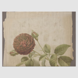 ポピーフラワーオンデコパー動揺してジュ 薄葉紙