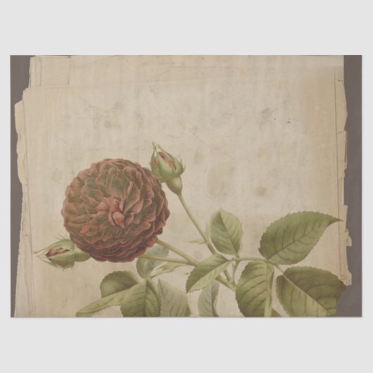 ポピーフラワーオンデコパー動揺してジュ 薄葉紙 (正面)