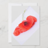 ポピーフラワーズフローラレッドホワイトグレートレンディーズ 招待状 (裏面)